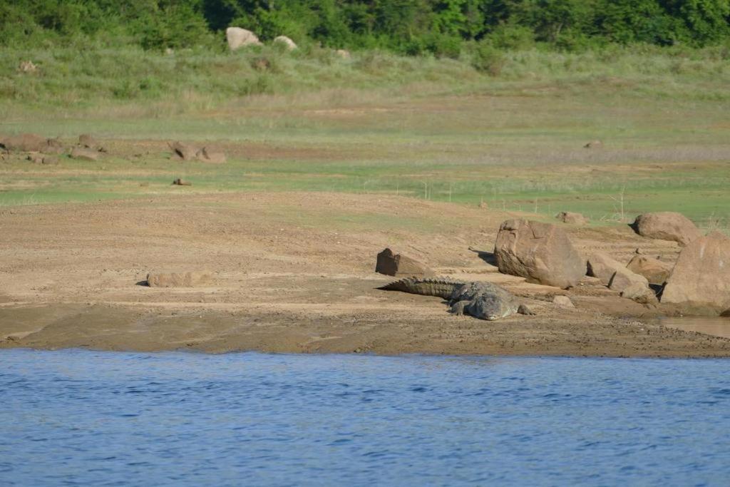 Gal Oya Lake View Inginiyagala Polwatta Extérieur photo